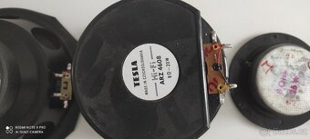 Reprobedny Tesla - 4