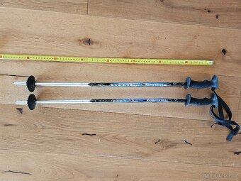 Dětské rostoucí lyžáky WEZZE - 4