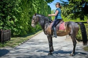 PŘIPOUŠTĚNÍ PSLusitano - 4