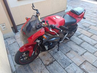 Aprilia rsv tuono - 4