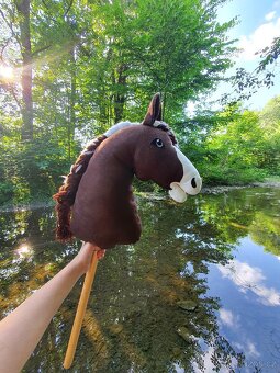 Hobby horse - 4