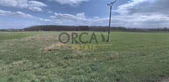 Pozemky v k.ú. Moravský Písek - 4