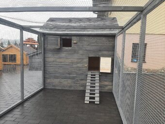 Kurnik pro slepice - 4