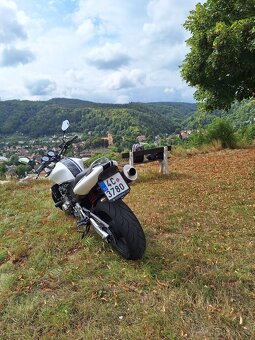 Honda Hornet CB600F - 4