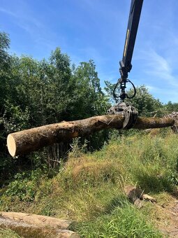 Kamión bříza ❗ - 4