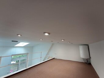 Se zahrádkou, atelier 1kk s patrem na spaní, Praha Michle - 4