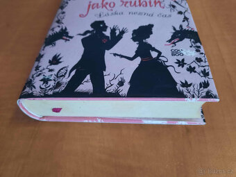 Rudá jako rubín, Modrá jako safír - 4