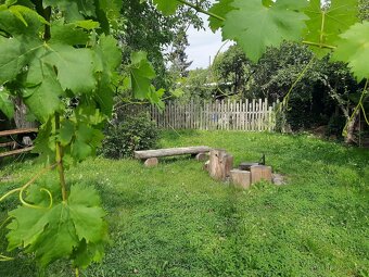 Pronajmu byt v Hradci Králové v domě se zahradou - 4