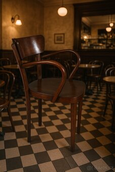 pevné křeslo / židle THONET - 4