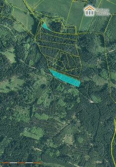 Prodej lesa 40.909 m2, obec Skály, okr. Strakonice - 4