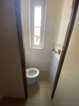 Pronájem bytu - Velký Osek - 4