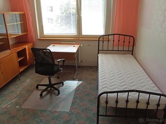 Tři 1.lůžkové pokoje v 3+1, studenti/ky, pračka, volné nyní - 4