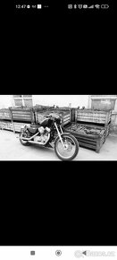 Harley Davidson Custom sporster - 4