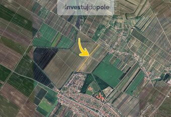 Prodej pole v k.ú. Velké Bílovice - 4