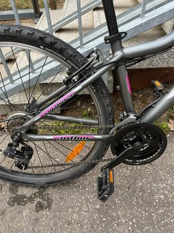 Author Matrix 26´ - 4