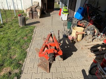 Pluh dvojradličný - 4