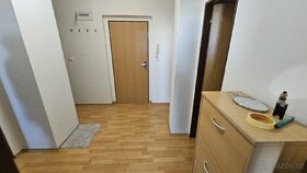 SPOLUBYDLENI - 4