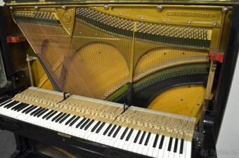 Koncertní pianino C.BECHSTEIN + židlička. ZÁRUKA. - 4