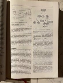 Vnitřní lékařství - 4