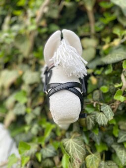 Hobby horse - 4