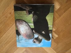 Henry Moore - 4