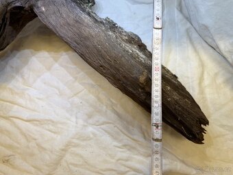 Kořen Amazonas root XL 40-60 cm - 4