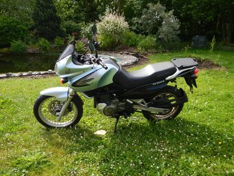 Suzuki XF 650 Freewind - 4