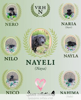 Nayla - 4