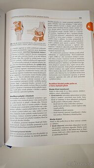 Rehabilitace v klinické praxi - Pavel Kolář - 4