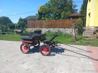 Wagoneta - 4