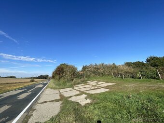 Prodej vinohradu 11340 m2 Čejkovice, Vinohrad 11340 m2 Čejk - 4