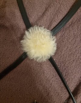 Uzdečka s mexickým nánosníkem - 4