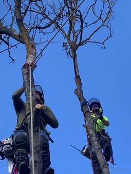Rizikové Káceni Kompletní Peče o Zahrady - 4