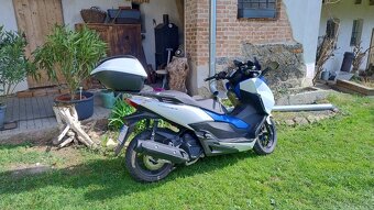 Honda Forza 125 ccm - 4