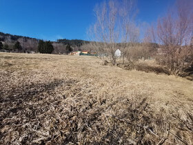 Šumava - Prodej pozemku k výstavbě chaty 574 m2 v Sušici - 4