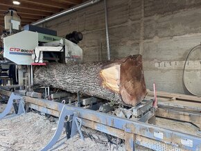 Kmenová pásová pila Pilous CTR 800h - 4