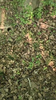 KMCS Next Gen Brown Cobra Hood Multiseason ghillie hejkal - 4