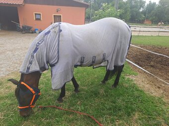 Prodám síťovou deku Horseware Amigo, 140 - 4