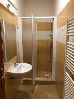 Byt k pronájmu 2+kk (43,6 m2) - 4
