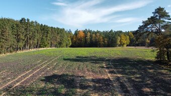 Prodej zemědělské půdy - obec Řípec, okr. Tábor - 4