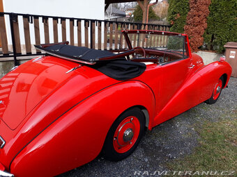 Healey Abbott - 4