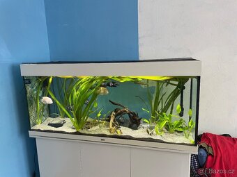 AKVARIJNÍ SET JUWEL RIO 240 - KOMPLETNÍ S EXTERNÍM FILTREM - 4