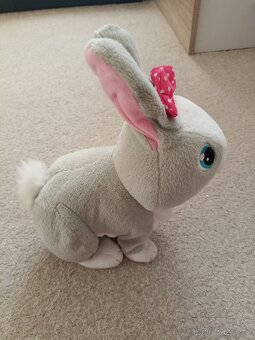 Sbírka plyšových králíků - 4