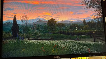 Dell Profesionální monitor - LCD 24" IPS LED P2417H - VADA - 4