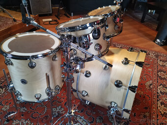 DW Collector's Series® Maple - 4