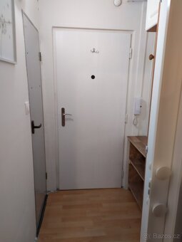 Pronajmu garsonku - 4