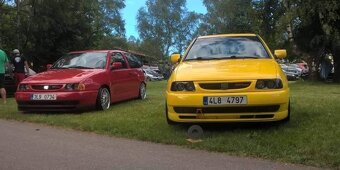 Seat Ibiza 6K2 2.0 16V cupra2 - 4