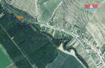 Prodej lesa, 215 m², Židlochovice - 4