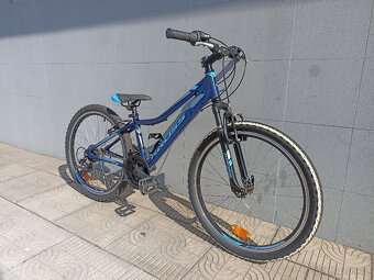 Kross Hexagon 24" - 4