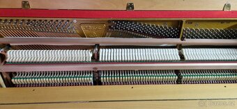 Piano Klug a Sperl - Bohemia - Světlé - Buk r. v. 2000 - 4